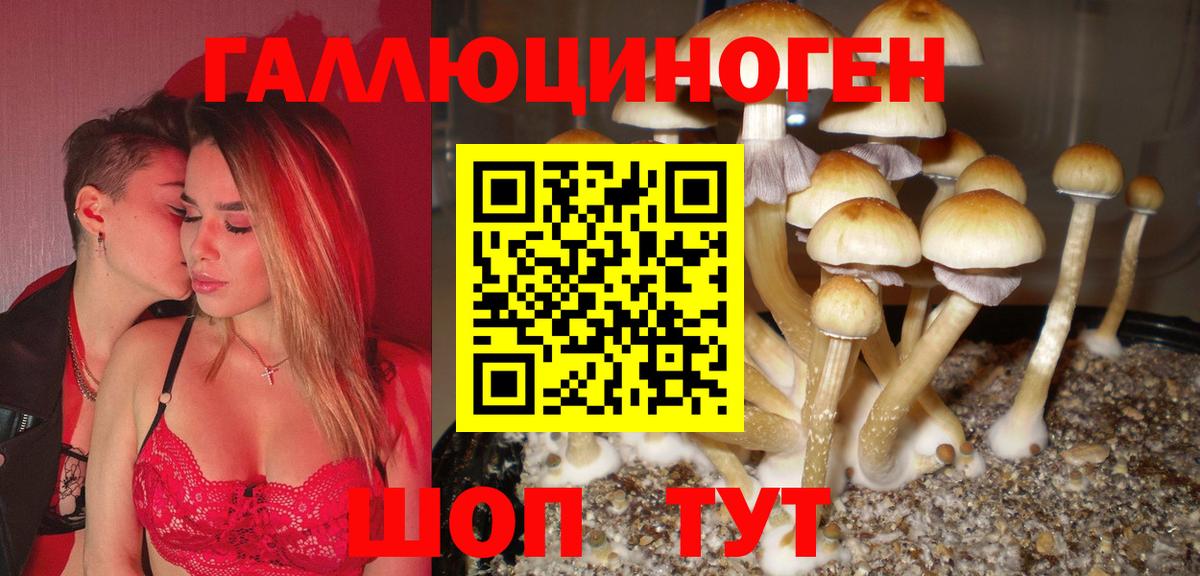 Гашиш  Гашиш  КОКАИН  Чебаркуль  Меф МЯУ МЯУ   Марихуана  Вход с VPN 