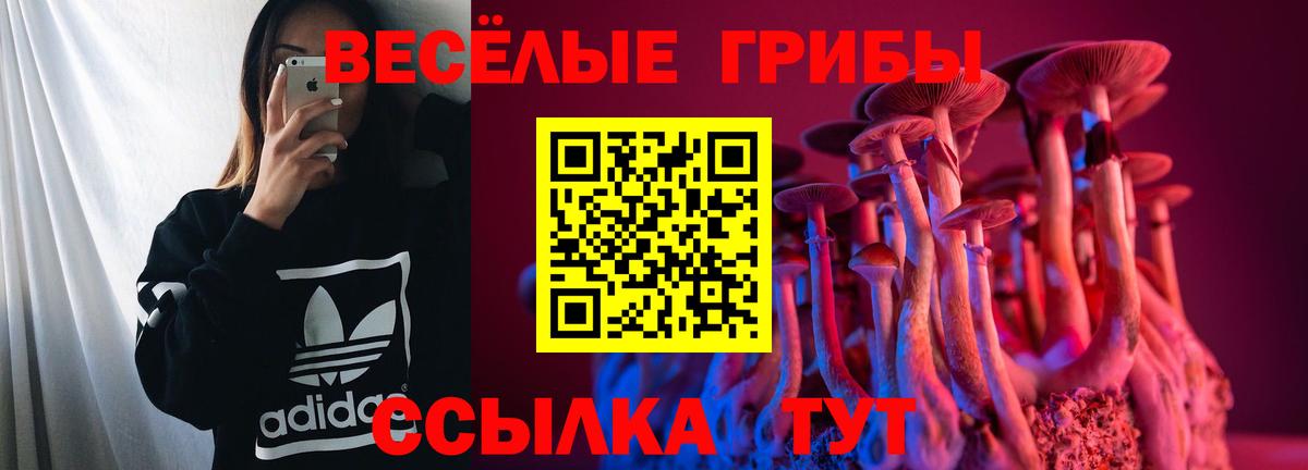 Чебаркуль  Галлюциногенные грибы Psilocybe  Вход с VPN  Галлюциногенные грибы Psilocybine cubensis 
